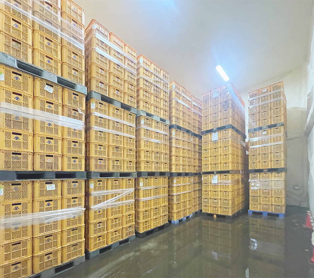 倉庫管理のイメージ